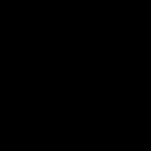 Meet your Posher, Ericah